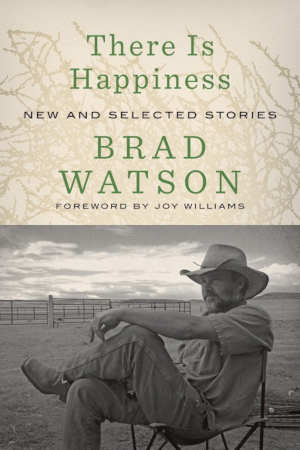 Brad Watson There Is Happiness