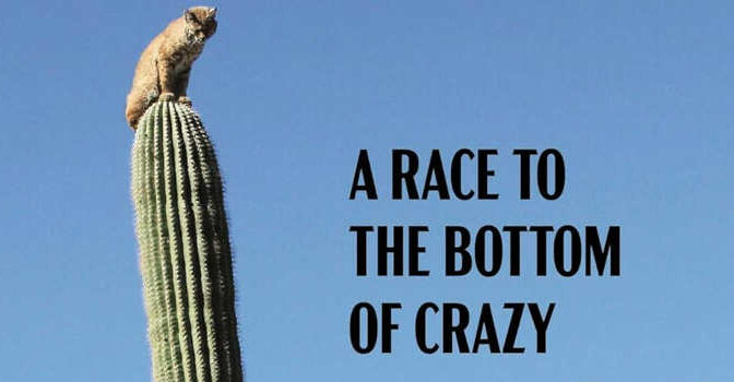 A Race to the Bottom of Crazy boek over Arizona van Richard Grant