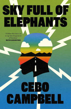 Cebo Campbell Sky Full of Elephants