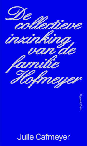 Julie Cafmeijer De collectieve inzinking van de familie Hofmeyer recensie