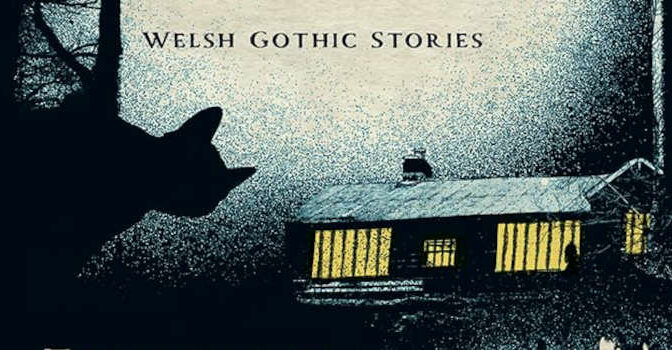 Let a Sleeping Witch Lie Welsh Gothic Stories van Elizabeth Walter