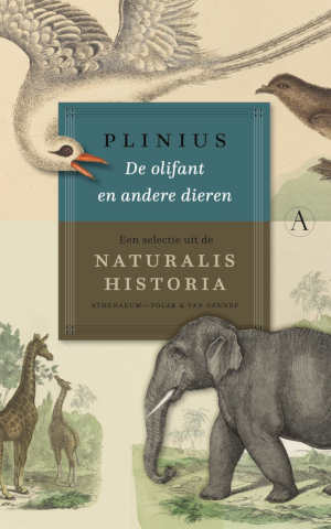 Plinius De olifant en andere dieren