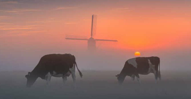 The Beauty of the Netherlands fotoboek over Nederland van Albert Dros