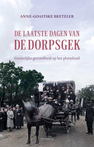 Anne-Goaitske Breteler De laatste dagen van de dorpsgek