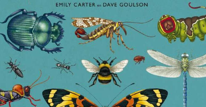 Insecten kinderboek van Dave Goulson en Emily Carter