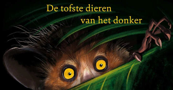 Wij zijn de nacht kinderboek over nachtdieren van Matthijs Meeuwsen