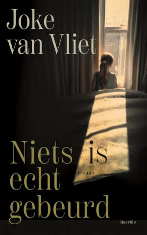 Joke van Vliet Niets is echt gebeurd recensie