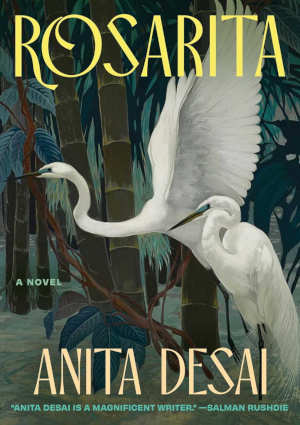 Anita Desai Rosarita review en recensie