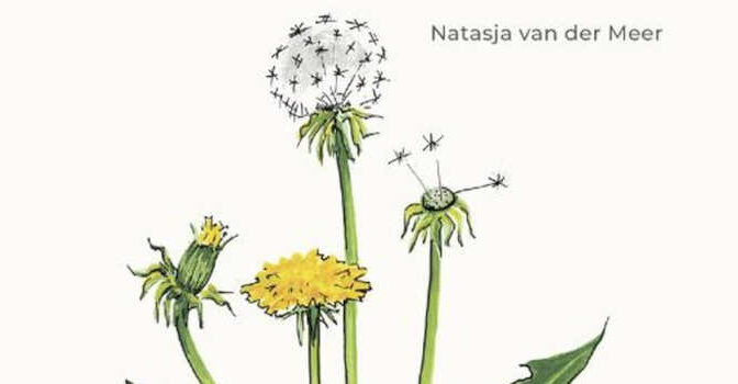 Het paardenbloemenboek boek van Natasja van der Meer met recepten voor eten, drinken, gezondheid & schoonheid