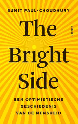 Sumit Paul-Choudhury The Bright Side recensie