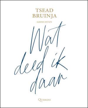 Tsead Bruinja Wat deed ik daar recensie