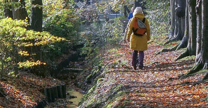 Wandelgids Veluwse beeklopen boek met 18 wandelingen op de Veluwe