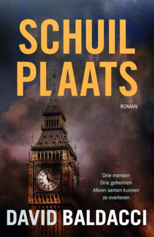 David Baldacci Schuilplaats recensie