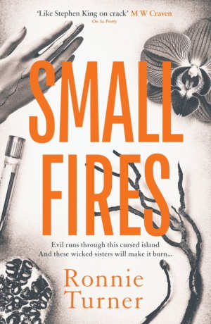 Ronnie Turner Small Fires recensie en review